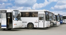 Cinco ônibus brancos estacionados um do lado do outro.